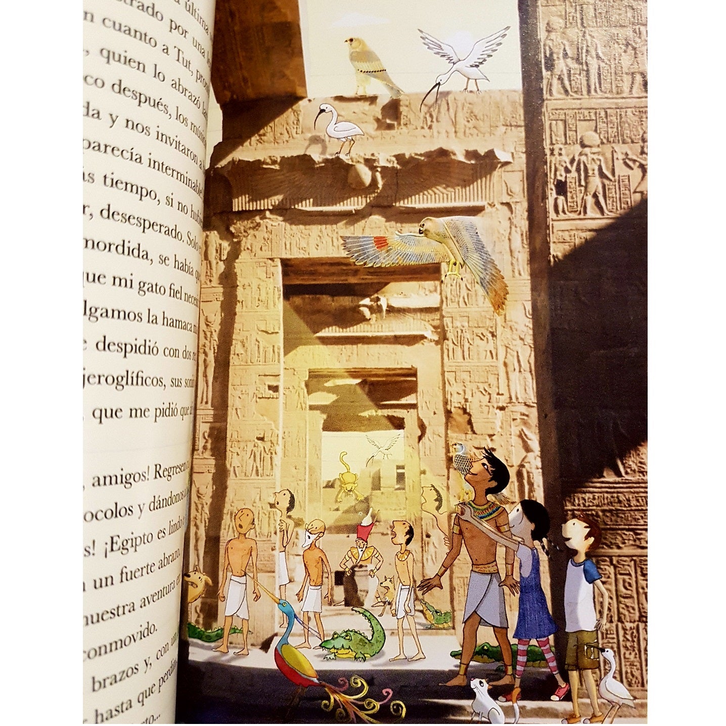 Diario de Pilar en Egipto Diario de Pilar en Egipto
